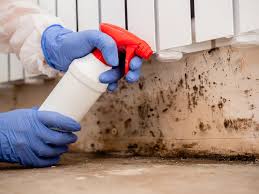 Best Mold Documentation for Insurance Claims in Osgood, IN